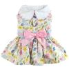 Pastel Meadow Dog Dress with Matching Leash