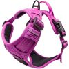 Venture Paw Pull Control Dog Harness