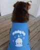 Birthday Boy Dog Shirt